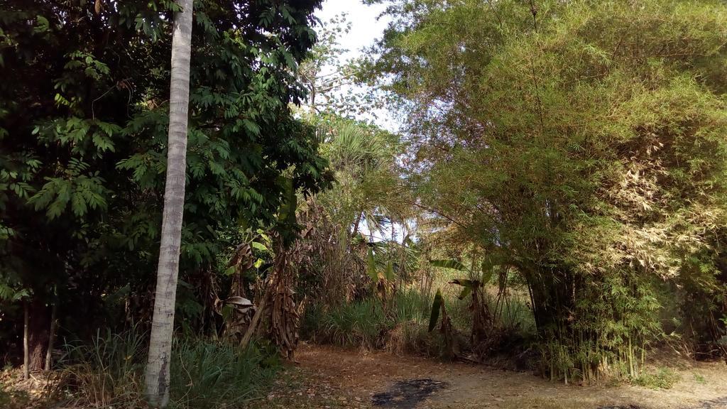 Suratthani Airport Campsite Surat Thani Extérieur photo